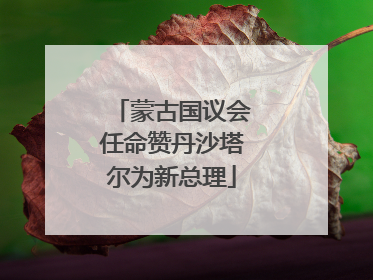 蒙古国议会任命赞丹沙塔尔为新总理