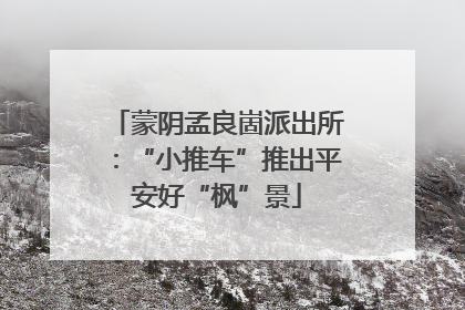 蒙阴孟良崮派出所：“小推车”推出平安好“枫”景