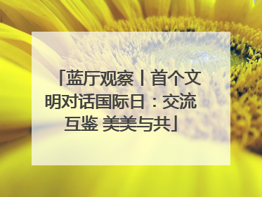 蓝厅观察丨首个文明对话国际日：交流互鉴 美美与共
