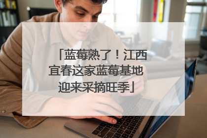 蓝莓熟了！江西宜春这家蓝莓基地迎来采摘旺季