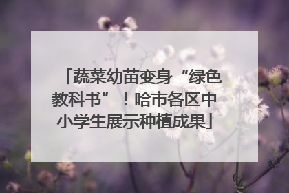 蔬菜幼苗变身“绿色教科书”！哈市各区中小学生展示种植成果