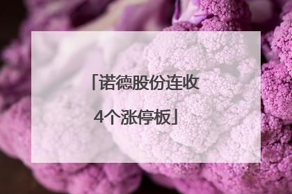 诺德股份连收4个涨停板