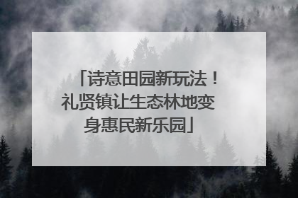 诗意田园新玩法！礼贤镇让生态林地变身惠民新乐园