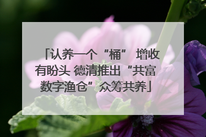 认养一个“桶” 增收有盼头 德清推出“共富数字渔仓”众筹共养