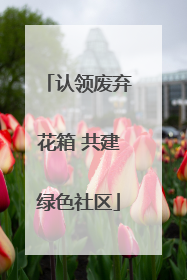 认领废弃花箱 共建绿色社区