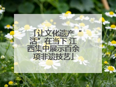 让文化遗产“活”在当下 江西集中展示百余项非遗技艺
