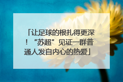 让足球的根扎得更深！“苏超”见证一群普通人发自内心的热爱