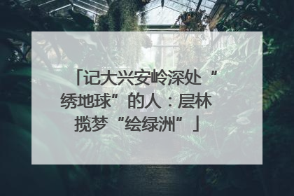 记大兴安岭深处“绣地球”的人：层林揽梦“绘绿洲”