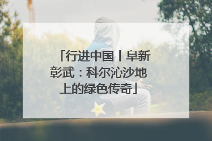 行进中国丨阜新彰武：科尔沁沙地上的绿色传奇