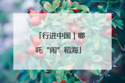 行进中国｜哪吒“闹”稻海