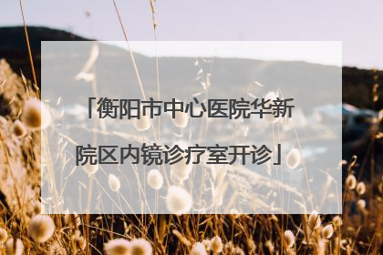 衡阳市中心医院华新院区内镜诊疗室开诊