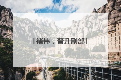 褚伟，晋升副部