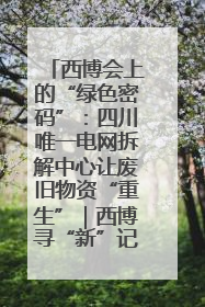 西博会上的“绿色密码”：四川唯一电网拆解中心让废旧物资“重生”｜西博寻“新”记