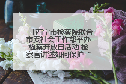 西宁市检察院联合市委社会工作部举办检察开放日活动 检察官讲述如何保护“少年的你”