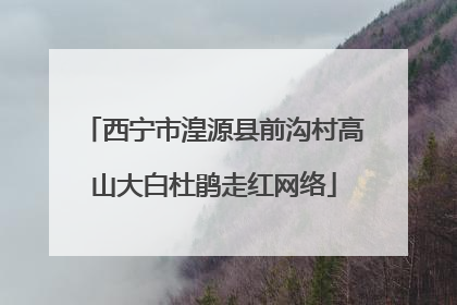 西宁市湟源县前沟村高山大白杜鹃走红网络