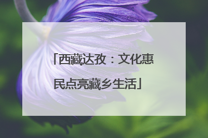 西藏达孜：文化惠民点亮藏乡生活