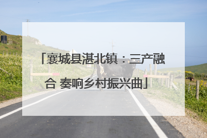 襄城县湛北镇：三产融合 奏响乡村振兴曲