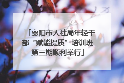 襄阳市人社局年轻干部“赋能提质”培训班第三期顺利举行