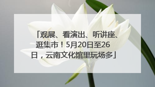 观展、看演出、听讲座、逛集市！5月20日至26日，云南文化馆里玩场多