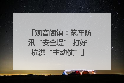 观音阁镇：筑牢防汛“安全堤” 打好抗洪“主动仗”