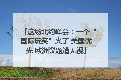 这场北约峰会：一个“国际玩笑”火了 美国优先 欧洲议题遭无视