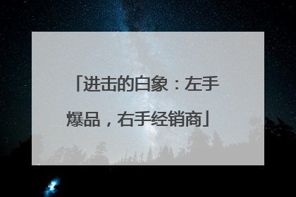 进击的白象：左手爆品，右手经销商