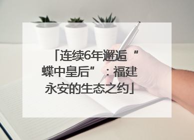 连续6年邂逅“蝶中皇后”：福建永安的生态之约