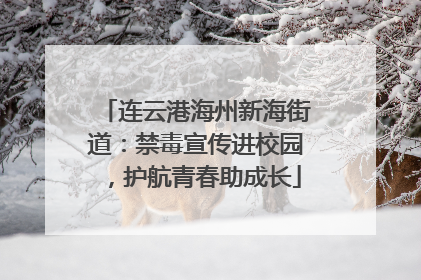 连云港海州新海街道：禁毒宣传进校园，护航青春助成长