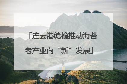 连云港赣榆推动海苔老产业向“新”发展