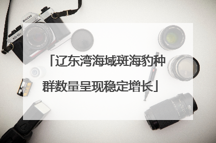 辽东湾海域斑海豹种群数量呈现稳定增长