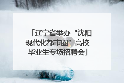 辽宁省举办“沈阳现代化都市圈”高校毕业生专场招聘会
