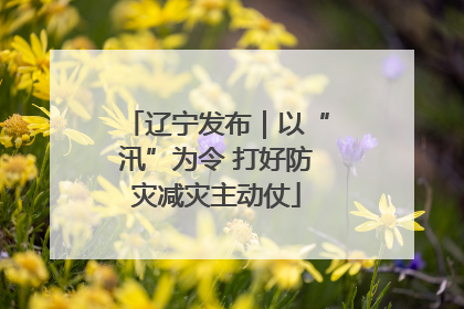 辽宁发布｜以“汛”为令 打好防灾减灾主动仗