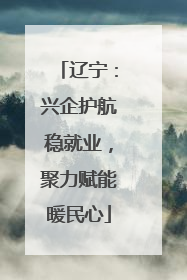 辽宁：兴企护航稳就业，聚力赋能暖民心