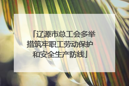 辽源市总工会多举措筑牢职工劳动保护和安全生产防线
