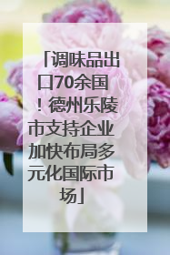调味品出口70余国！德州乐陵市支持企业加快布局多元化国际市场