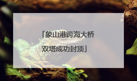 象山港跨海大桥双塔成功封顶