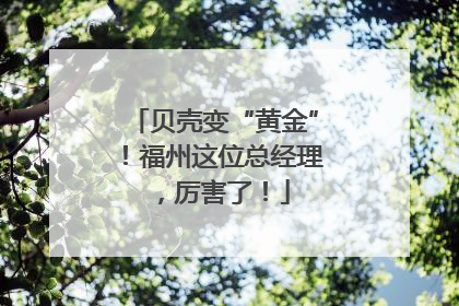 贝壳变“黄金”！福州这位总经理，厉害了！