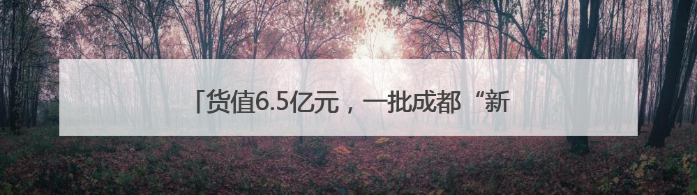 货值6.5亿元，一批成都“新津造”产品组团“飞向”欧洲！