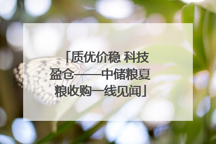 质优价稳 科技盈仓——中储粮夏粮收购一线见闻