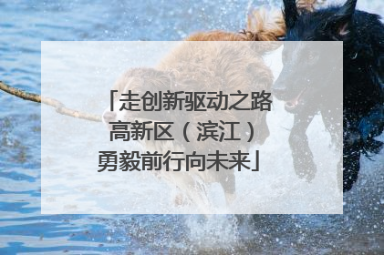 走创新驱动之路 高新区（滨江）勇毅前行向未来