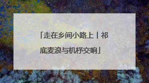 走在乡间小路上丨祁底麦浪与机杼交响