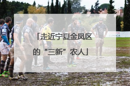 走近宁夏金凤区的“三新”农人
