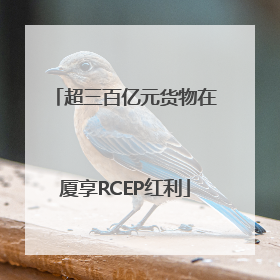 超三百亿元货物在厦享RCEP红利