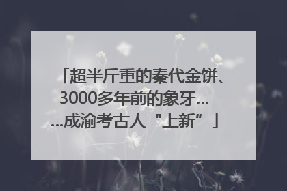 超半斤重的秦代金饼、3000多年前的象牙……成渝考古人“上新”