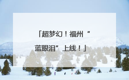 超梦幻！福州“蓝眼泪”上线！