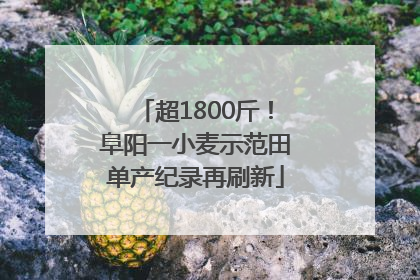 超1800斤！阜阳一小麦示范田单产纪录再刷新