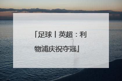 足球丨英超：利物浦庆祝夺冠
