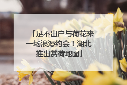 足不出户与荷花来一场浪漫约会！湖北推出赏荷地图