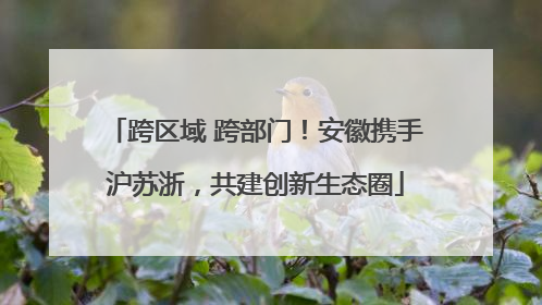 跨区域 跨部门！安徽携手沪苏浙，共建创新生态圈