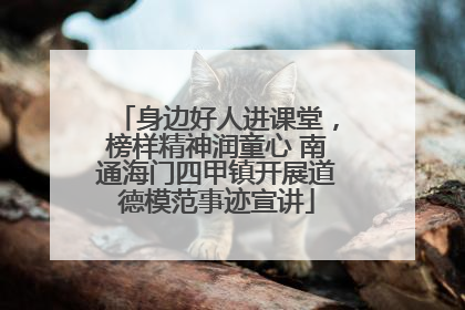 身边好人进课堂，榜样精神润童心 南通海门四甲镇开展道德模范事迹宣讲